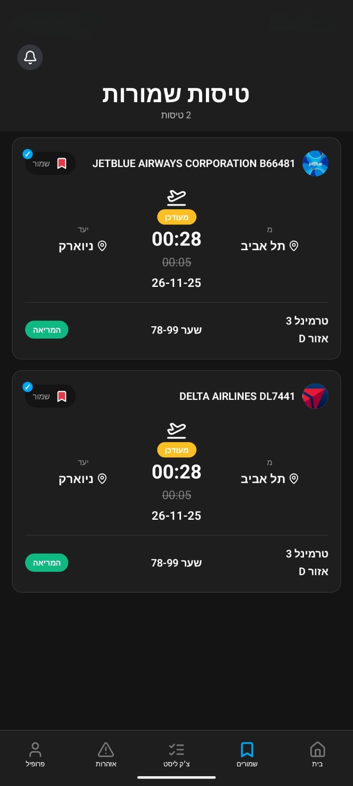 פרטי טיסה